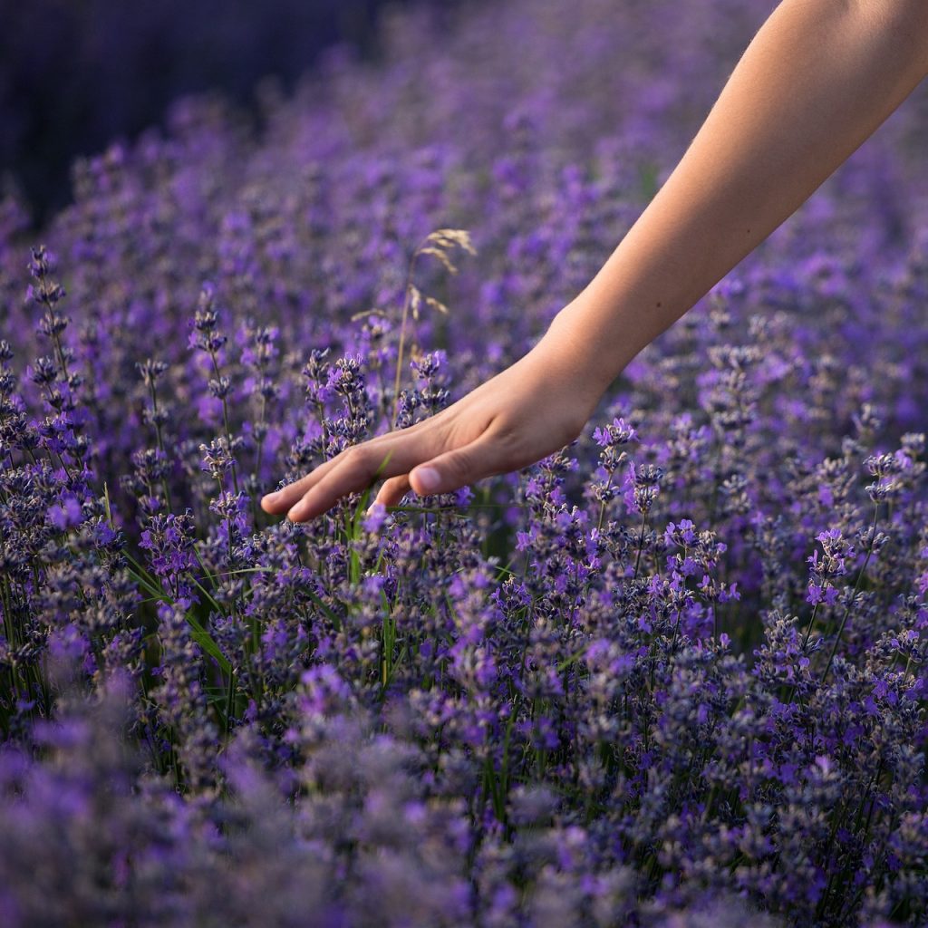 LA NATURA E LE STELLE
